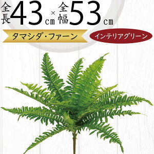 tFCNO[ lC  A ϗtA CeAO[ lHϗtA  A[gO[ lH ԍ t CeA IuWF t[AWg fBXvC t@