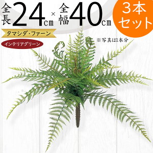 tFCNO[ lC  A ϗtA CeAO[ lHϗtA  A[gO[ lH ԍ t CeA IuWF t[AWg fBXvC t@