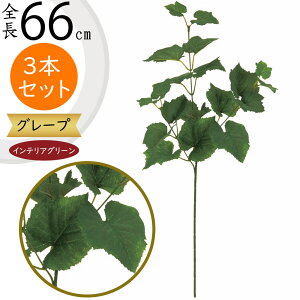 tFCNO[  lC A CeAO[ ϗtA  lHϗtA lH CeA t[AWg fBXvC  t ԍ  A[gO[ {