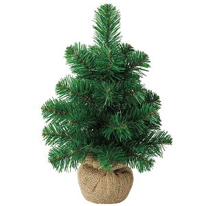 クリスマスツリー 観葉植物の人気商品 通販 価格比較 価格 Com