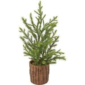 観葉植物 クリスマス ツリー 卓上の人気商品 通販 価格比較 価格 Com