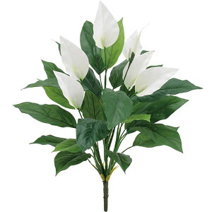 観葉植物 スパティフィラムの人気商品 通販 価格比較 価格 Com