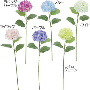 z    AWTC lC A A[eBtBVt[ lHϗtA CeAO[ A[gt[ G tFCNO[ nChWA t[A