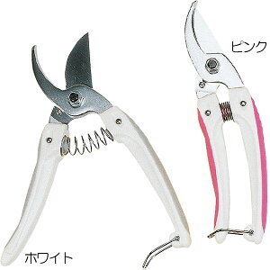  | ~j`LfbNX  S18.5cm×n4.3cm ͂ nT~ Yf| 135g ԗp