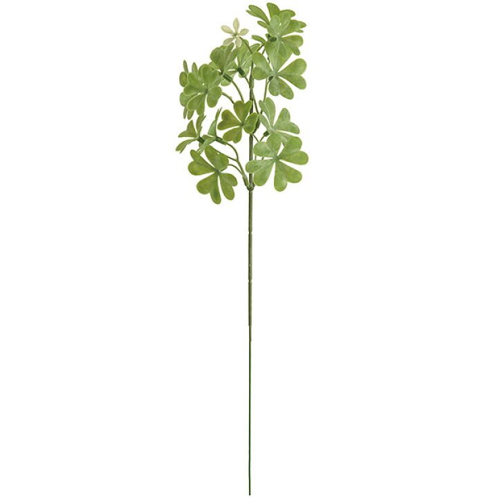 楽天市場 人工観葉植物 クローバー 全長32cm 12本セット 1束3本 4束 シロツメクサ 白詰め草 造花 リーフ 花材 アレンジ グリーンランド