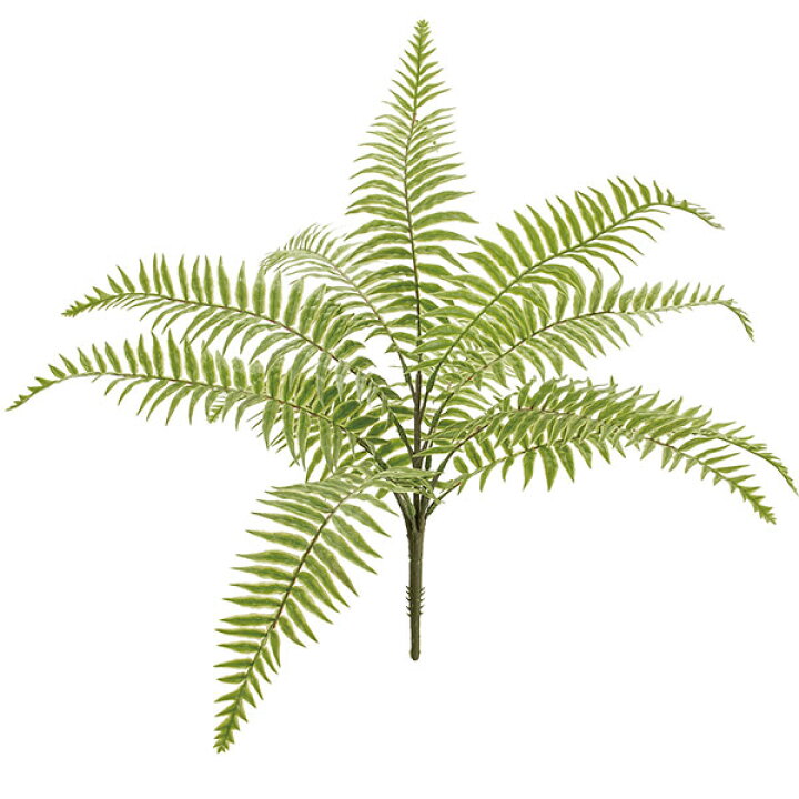 楽天市場 人工観葉植物 ファーン ブッシュ 全長47cm 3本セット シダ類 ファン タマシダ ボストンファーン 造花 人工樹木 リーフ 葉材 グリーン材 フェイクグリーン インテリアグリーン ディスプレイ 装飾 グリーンランド