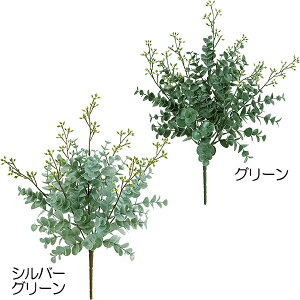 ユーカリ 観葉植物の人気商品 通販 価格比較 価格 Com ユーカリ 観葉植物の人気商品 通販 価格比較 価格 Com