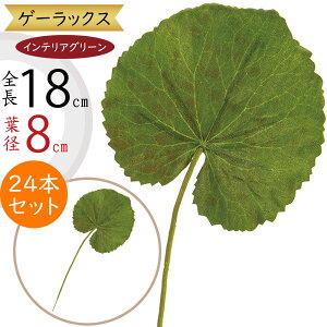 QCbNX tFCNO[  ϗtA A lC CeAO[ lHϗtA   A[gvc A[gO[ CeA  fBXvC IuWF t