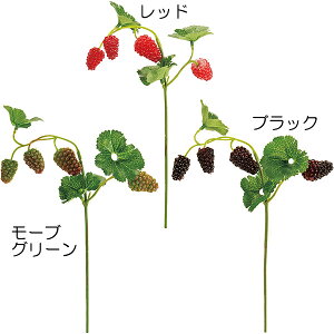 木苺 ラズベリーの人気商品 通販 価格比較 価格 Com