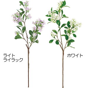 yԁz CeA WX~ S70cm 3{Zbg }_KXJWX~ lHϗtA A[eBtBVt[ t[AWg fBXvC  uC_ԍ