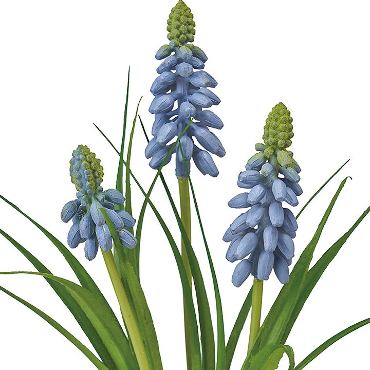 楽天市場 造花 ムスカリ 全長22cm 7束セット ブドウヒヤシンス 葡萄風信子 球根植物 人工観葉植物 アーティフィシャルフラワー 花材 フラワーアレンジメント ディスプレイ 装飾 グリーンランド 楽天市場 造花 ムスカリ 全長22cm 7束セット ブドウヒヤシンス 葡萄風信子 球根植物 人工観葉植物 アーティフィシャルフラワー 花材 フラワーアレンジメント ディスプレイ 装飾 グリーンランド