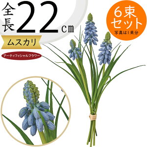 yԁz CeA XJ S22cm 6Zbg uhEqVX Mq A lHϗtA A[eBtBVt[ ԍ t[AWg fBXvC 