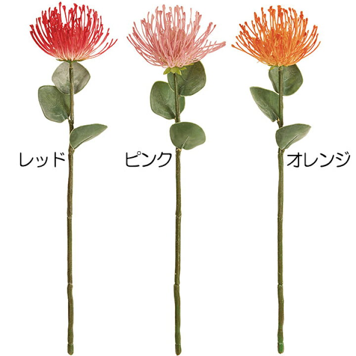 楽天市場 造花 ピンクッション 全長48cm 3本セット レウコスペルマム 人工観葉植物 アーティフィシャルフラワー 花材 フラワーアレンジメント ディスプレイ ディスプレー 装飾 トロピカル 南国イメージ 熱帯植物 グリーンランド