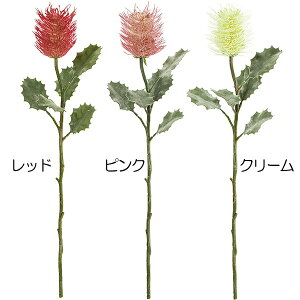 観葉植物 バンクシアの人気商品 通販 価格比較 価格 Com