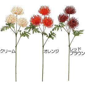 楽天市場 ピンクッション 花の通販