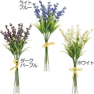 yԁz CeA xjJ S24cm 30{Zbg A[eBtBVt[ lHϗtA ԍ t[AWg fBXvC