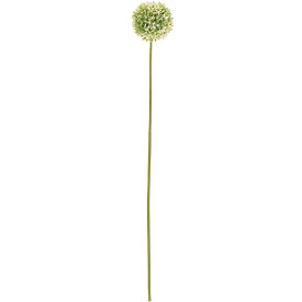 楽天市場 アリウム 生花の通販