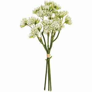 yԁz CeA [Xt[ S20cm 12{Zbg A[eBtBVt[ n[u AWg fBXvC 