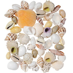 VRf  lC r[`VF A\[g Rf hCt[ VF Lk t[AWg fBXvC pi CeA G  Ƌ ԍ   IV