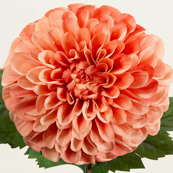 楽天市場】造花 菊 全長74cm 3本セット きく キク マム 人工観葉植物 アーティフィシャルフラワー 花材 フラワーアレンジメント ディスプレイ 装飾 : グリーンランド 楽天市場】造花 菊 全長74cm 3本セット きく キク マム 人工観葉植物 アーティフィシャルフラワー 花材 フラワーアレンジメント ディスプレイ 装飾 : グリーンランド
