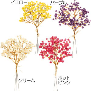 観葉植物 ビーズの人気商品 通販 価格比較 価格 Com 観葉植物 ビーズの人気商品 通販 価格比較 価格 Com
