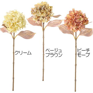 あじさい 種 観葉植物の人気商品 通販 価格比較 価格 Com