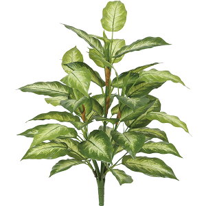 観葉植物 庭の人気商品 通販 価格比較 価格 Com