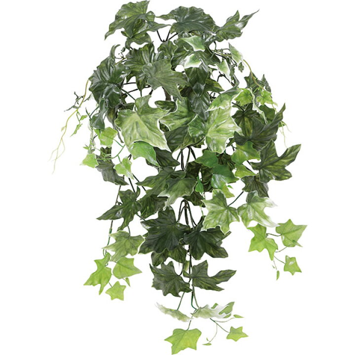楽天市場 屋外対応 アイビー フェイクグリーン 全長64cm 2本セット 人工観葉植物 お庭 バルコニー テラス 屋上 インテリアグリーン おしゃれ グリーンランド 楽天市場 屋外対応 アイビー フェイクグリーン 全長64cm 2本セット 人工観葉植物 お庭 バルコニー テラス 屋上 インテリアグリーン おしゃれ グリーンランド