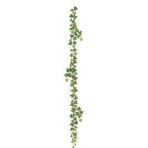 観葉植物 つたの人気商品 通販 価格比較 価格 Com