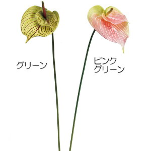 観葉植物 アンスリウムの人気商品 通販 価格比較 価格 Com