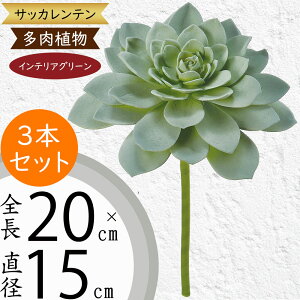 A tFCNO[  CeAO[ lC A A[gvc  A[gO[ ~jϗt lHϗtA  ϗtA ԍ t t CeA IuWF Ƌ 