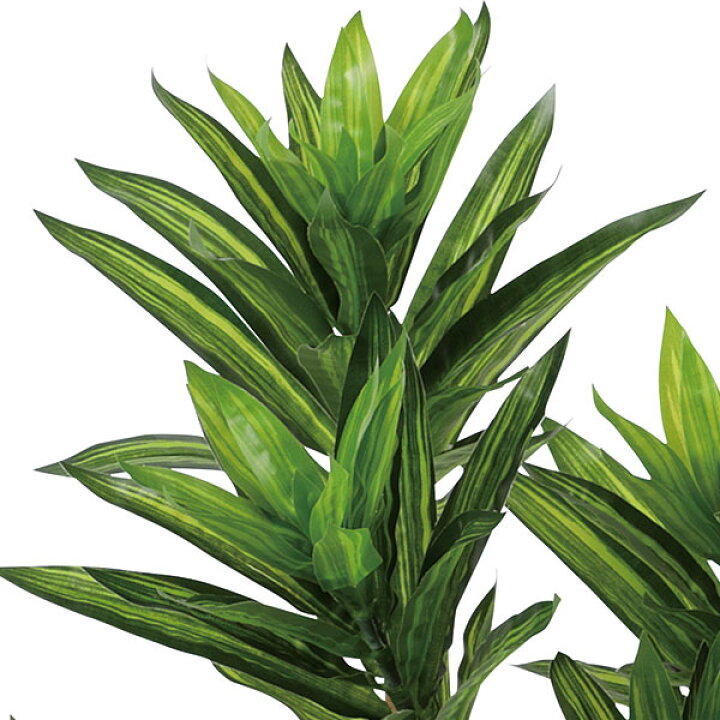 ドラセナ 人工観葉植物 全高1 8m ソング オブ インディア グリーン 斑入り レフレクサ 人工樹木 造花 インテリアグリーン フェイクグリーン Web限定
