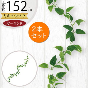 K[h  lC  A tFCNO[ CeAO[ lHϗtA  A[eBtBVt[ fR[V fBXvC t ǖʑ V t