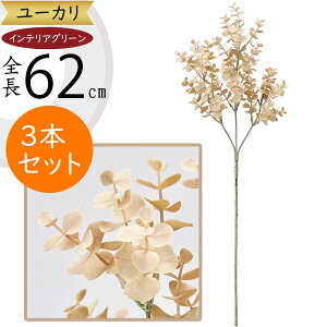 [J tFCNO[  CeAO[ lC A ϗtA  A[gvc lHϗtA A[gO[ lH [J̖ } } ԍ t t t