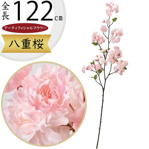 d  TN  ^  lC A A[eBtBVt[ lHϗtA CeAO[ tFCNO[ A[gt[ t[AWg ԍ fB