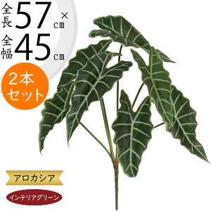 AJVA A}]jJ tFCNO[ lC  CeAO[ A lHϗtA ϗtA  A[gvc A[gO[ CeA IuWF   O