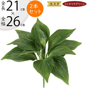 tFCNO[  lC CeAO[ A lHϗtA  lH A[gvc A[gO[ ϗtA ChAO[ CeA IuWF  ԍ t 