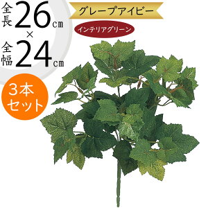 ACr[ tFCNO[  lC CeAO[ A ϗtA  A[gvc CeA lHϗtA lH } t t ԍ IuWF t[AW