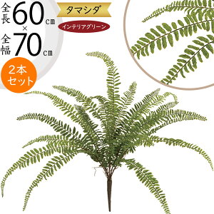 ^}V_ tFCNO[  CeAO[ A lHϗtA ϗtA  A[eBtBVt[ t ԍ ʃV_ ltsX t[AWg fBXv