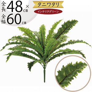 tFCNO[ ^j^  CeAO[ A lHϗtA ϗtA  lH A[eBtBVt[ ԍ t t[AWg fBXvC  