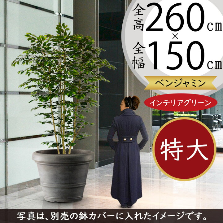 楽天市場】フェイクグリーン 大型 おしゃれ 人気 インテリアグリーン 
