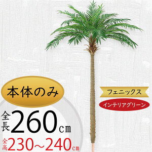 ���V�̖� �t�F�j�b�N�X ���x���j�[ ���x���V �t�F�C�N�O���[�� ��^ ������� �l�C �C���e���A�O���[�� ���A�� �l�H�ϗt�A�� �ϗt�A�� �l�H���� ���� �A�[�g�v�����c �A�[�g�O���[�� ���V��