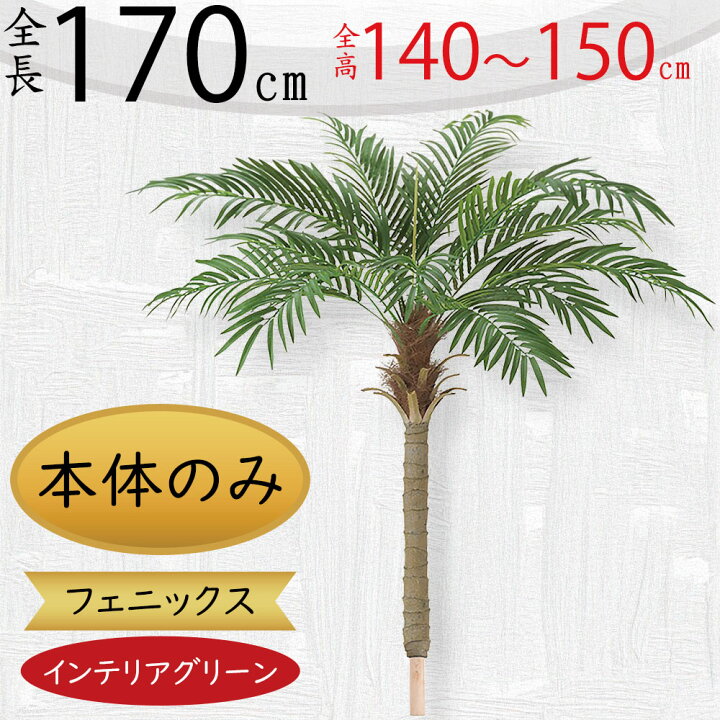 楽天市場】ヤシの木 フェニックス ロベレニー ロベヤシ フェイク 