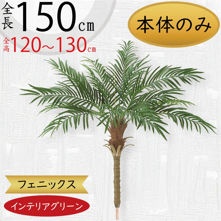 楽天市場】ヤシの木 フェニックス ロベレニー ロベヤシ フェイク 