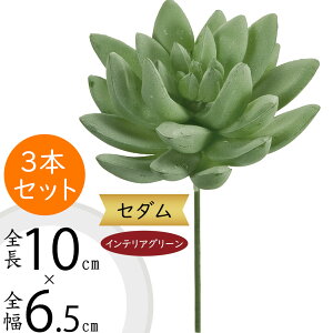 Z_ A tFCNO[  CeAO[ lC A A[gvc  A[gO[ ~jϗt lHϗtA lH ϗtA ԍ t t CeA I