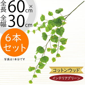 tFCNO[  CeAO[ lC A A[gvc  A[gO[ lHϗtA lH ϗtA ԍ t t } CeA IuWF Ƌ G t