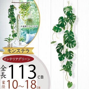 tFCNO[ K[h Xe ϗtA lC  A CeAO[ c^    lHϗtA t IuWF A[gO[ t[AWg {