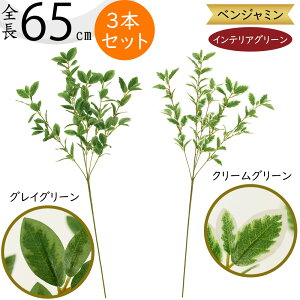 tFCNO[  lC CeAO[ xW~ tBJX A lHϗtA   A[gvc A[gO[ xW~i t[AWg fBX