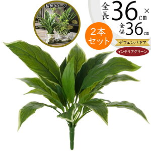 tFCNO[ ϗtA  CeAO[ A lC  CeAO[ fBtFoLA fBtFoMA lHϗtA  lH  CeA IuW