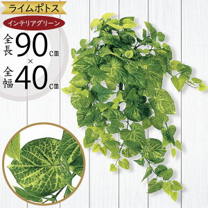 tFCNO[ C|gX ^  lC CeAO[ A lHϗtA  lH A[gvc A[gO[ ϗtA ChAO[ CeA IuW